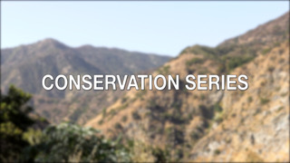 Conservation Series