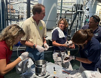 Aquarium staff working on abalone - thumbnail