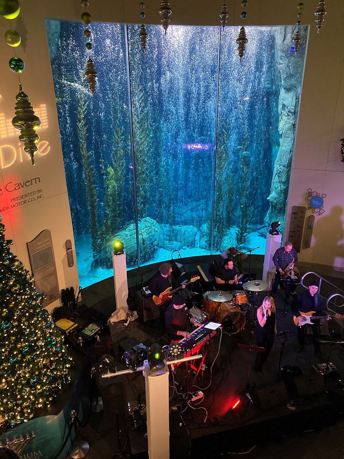 band plays on the Honda Blue Cavern Stage during New Year