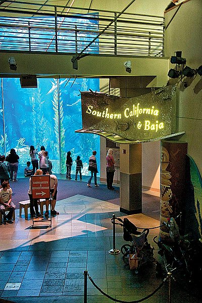 Entrance to Southern California Baja Gallery showing the Blue Cavern exhibit in the background.