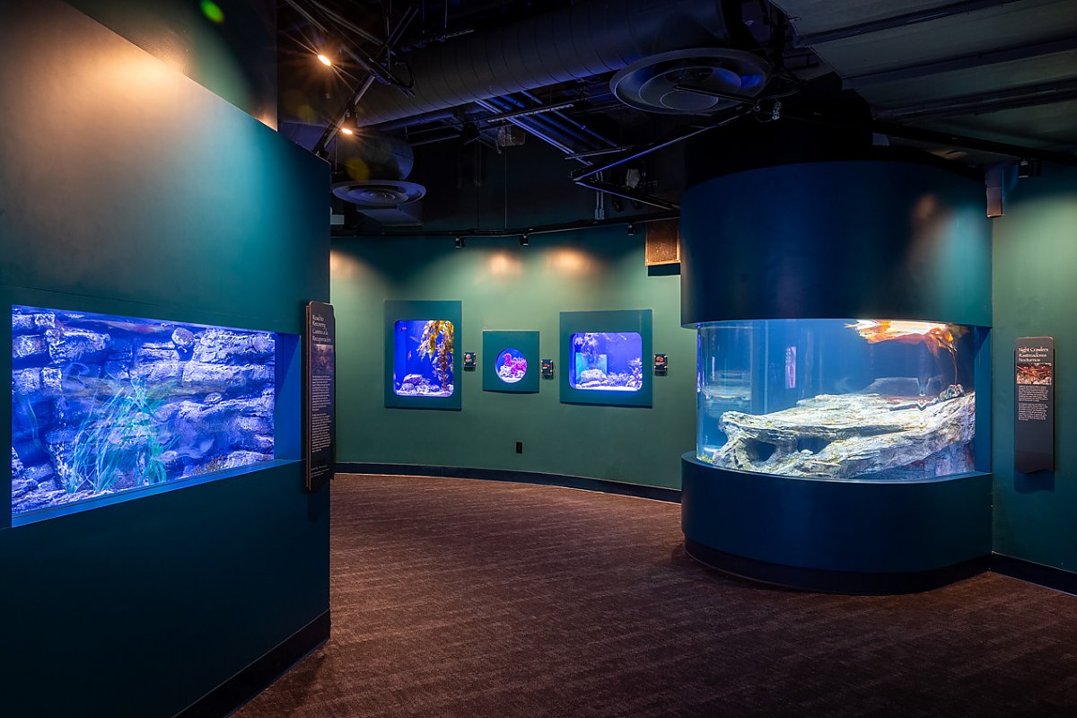 Lobster exhibit and other smaller exhibits