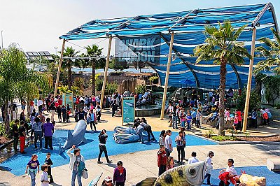 Shark Lagoon exhibit filled with people - thumbnail