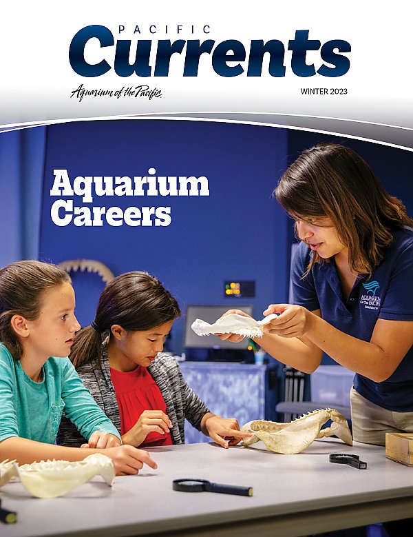 Pacific Currents Winter 2023 Cover image of educator showing shark jaws to two kids