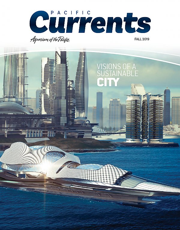 Pacific Currents magazine fall 2019 cover