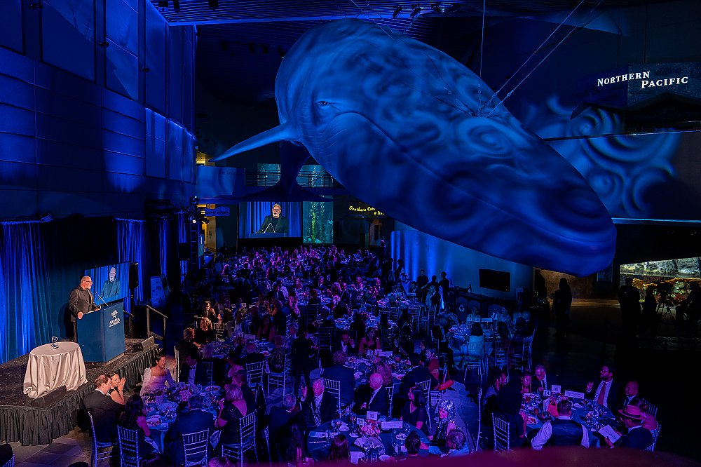 Dr. Peter Kareiva, Aquarium of the Pacific president and CEO, speaks during the 2022 Blue Whale Gala before guests sat at round tables underneath a life-size model of a blue whale