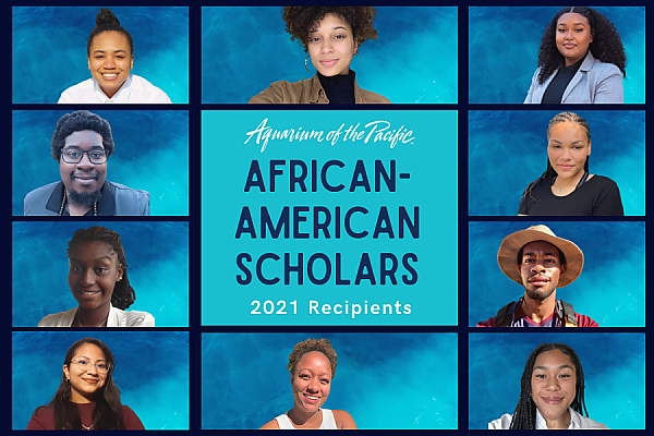 African American Scholars 2021 Recipient collage