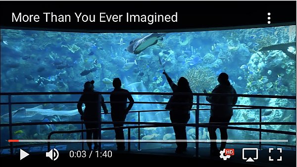 Youtube thumbnail More Than You Ever Imagined person pointing at exhibit