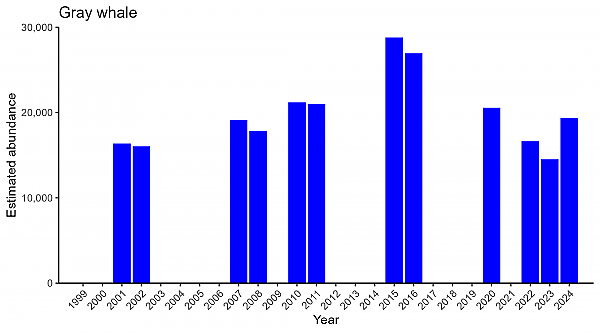 Gray Whale Abundance