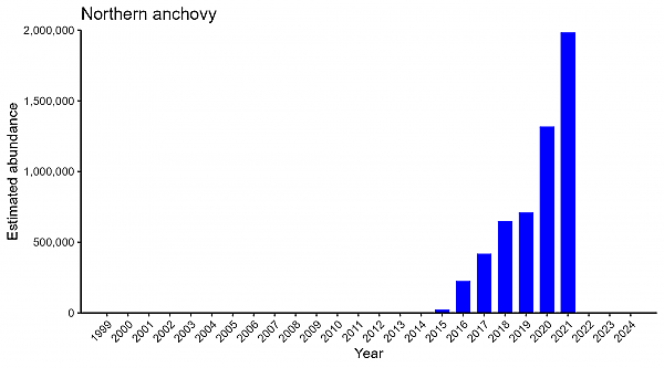 Northern anchovy abundance