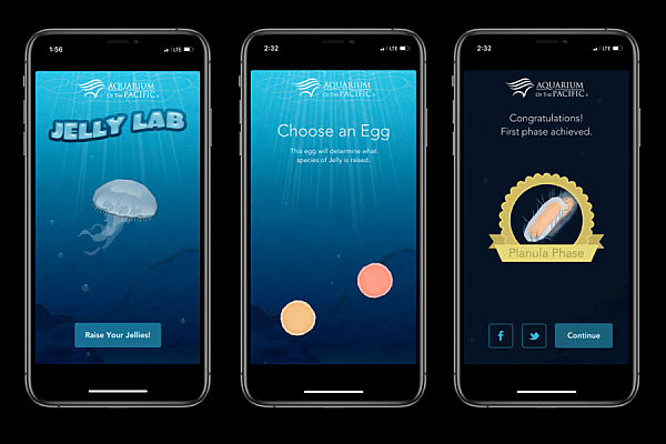 Jelly Lab Mobile App Screen Shots