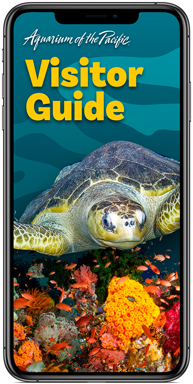 Aquarium App